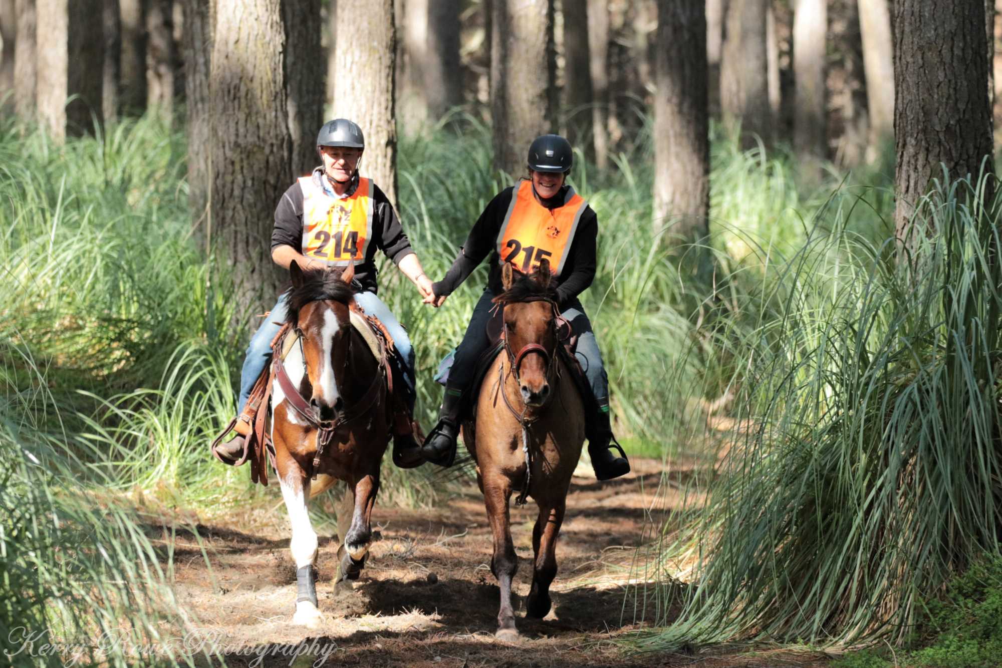 Distance Riding New Zealand - What is Distance Riding