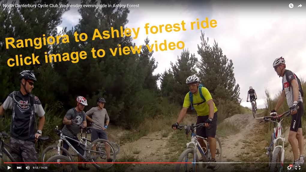 Rangiora to Ashley forest ride