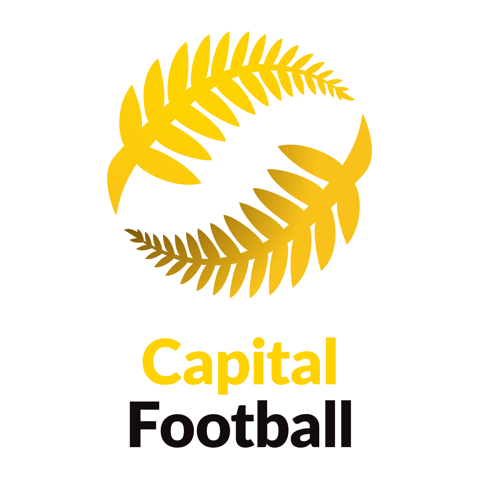 Capital Football Men s Central League capital-football-men-s-central-league