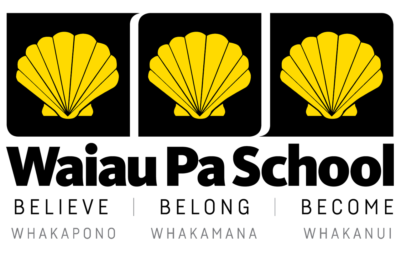 Waiau Pa School Home