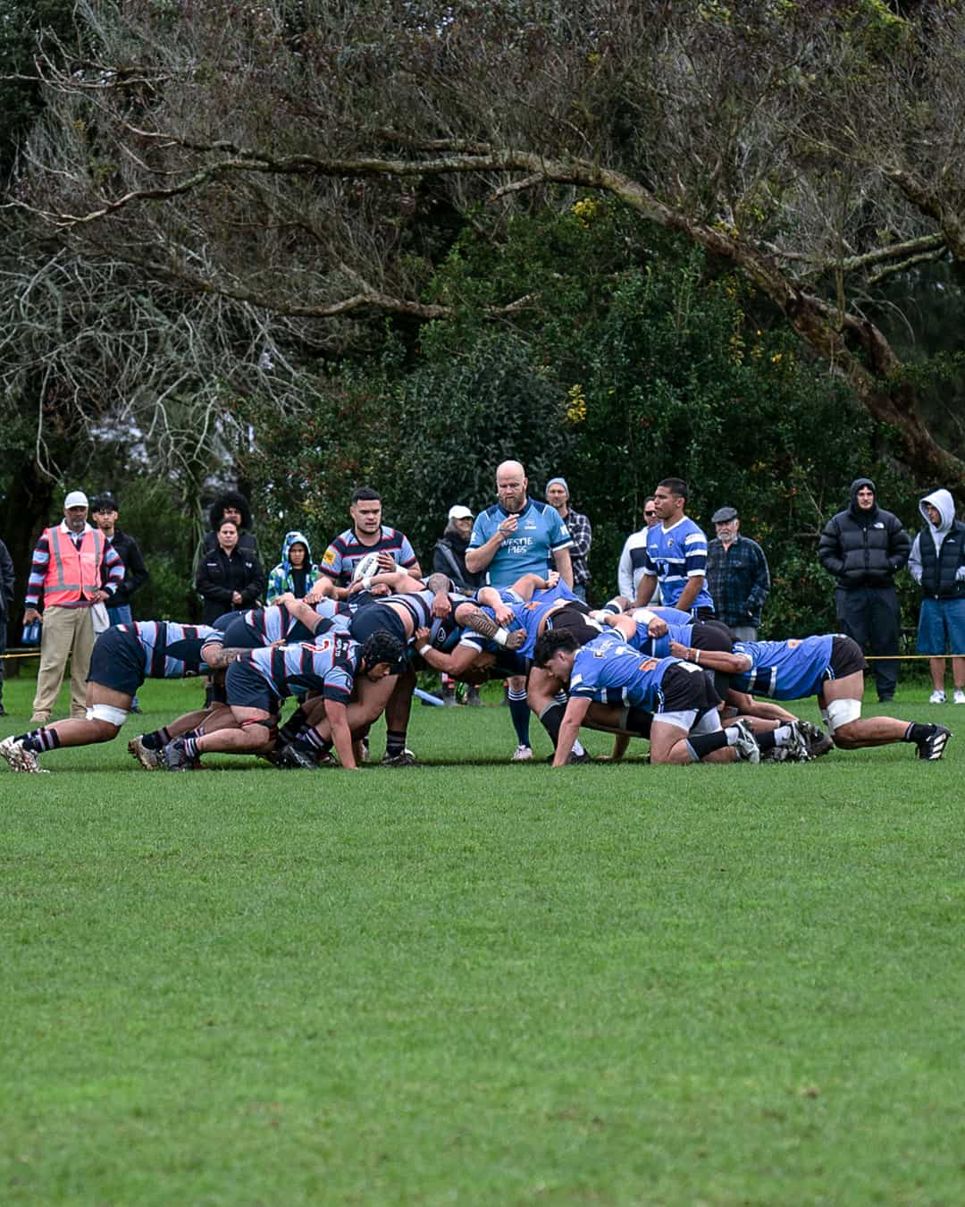 Exciting Changes Ahead: Auckland Rugby Union Confirms 2025 Premier Competitions Structure Changes.