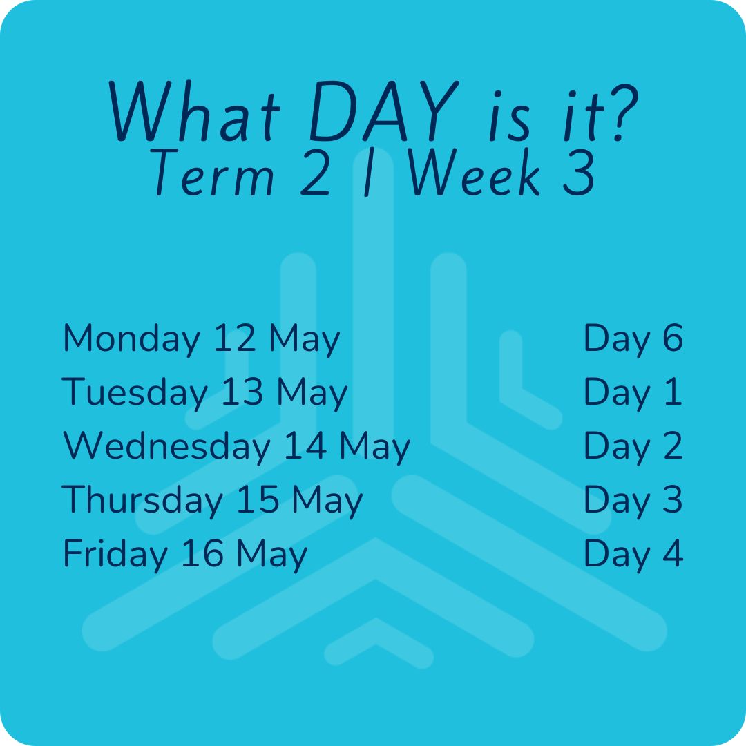 square tiles - what day is it