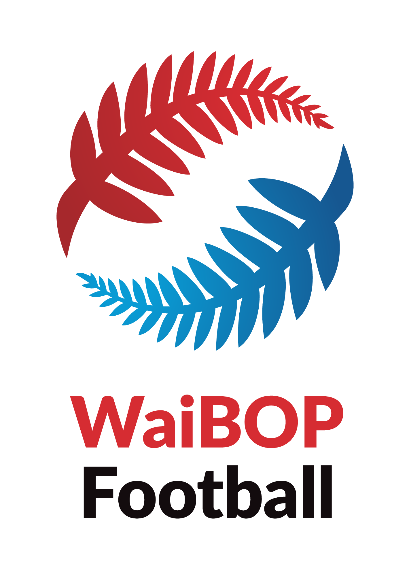 WaiBOP Football logo