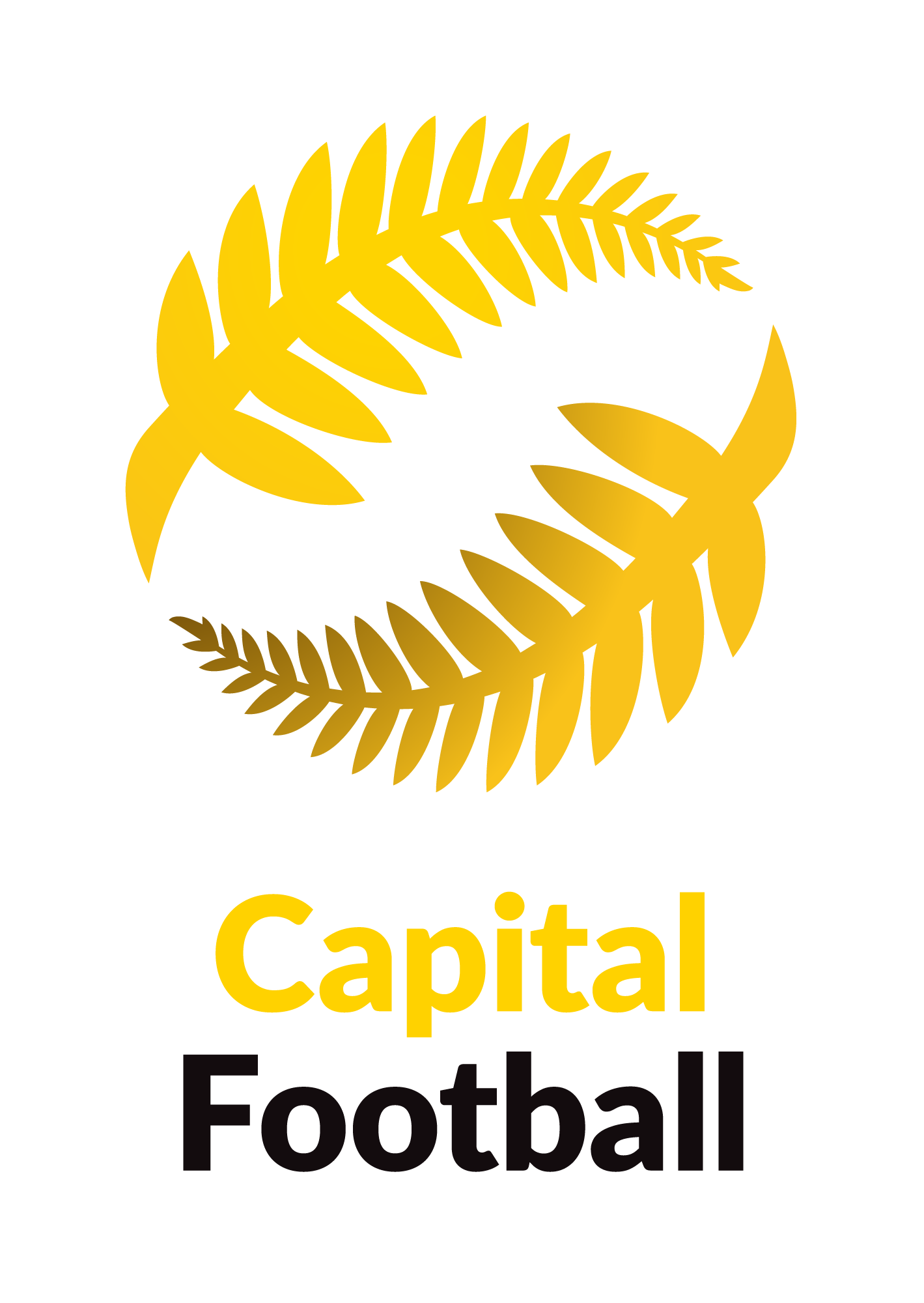 Capital Football Logo