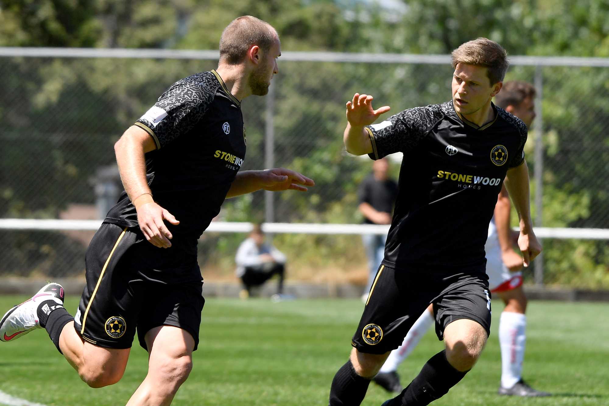 Team Wellington V Hamilton Wanderers Isps Handa Mens Premiership Mw 14