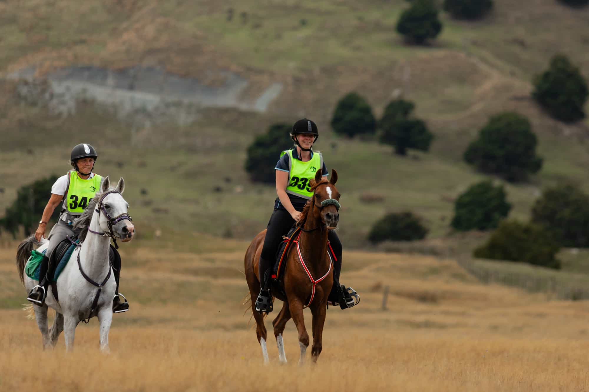 Emily Rider Rspb DRNZ Senior Scholarship 2024/25 Rider - Emily Harrington