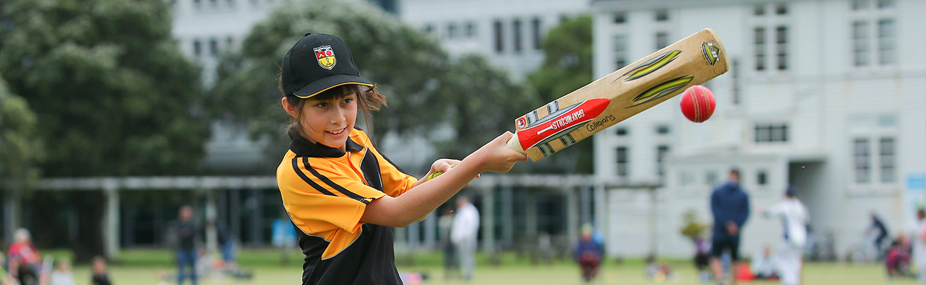Junior Cricket in full swing, Wellington