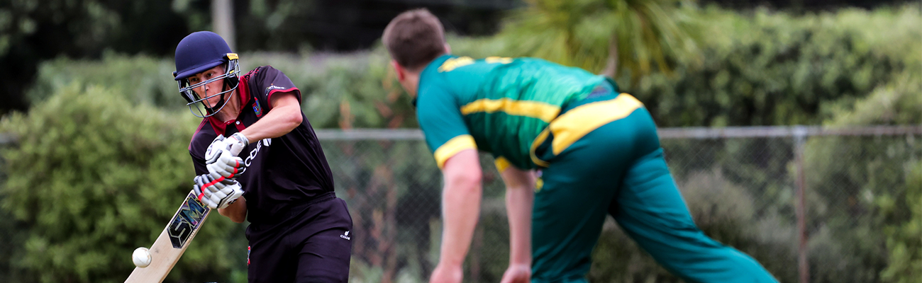 Mens Cricket being played in Wellington