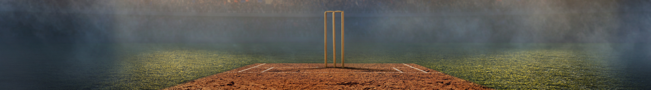 Cricket Wellington Cancellations Image of stumps