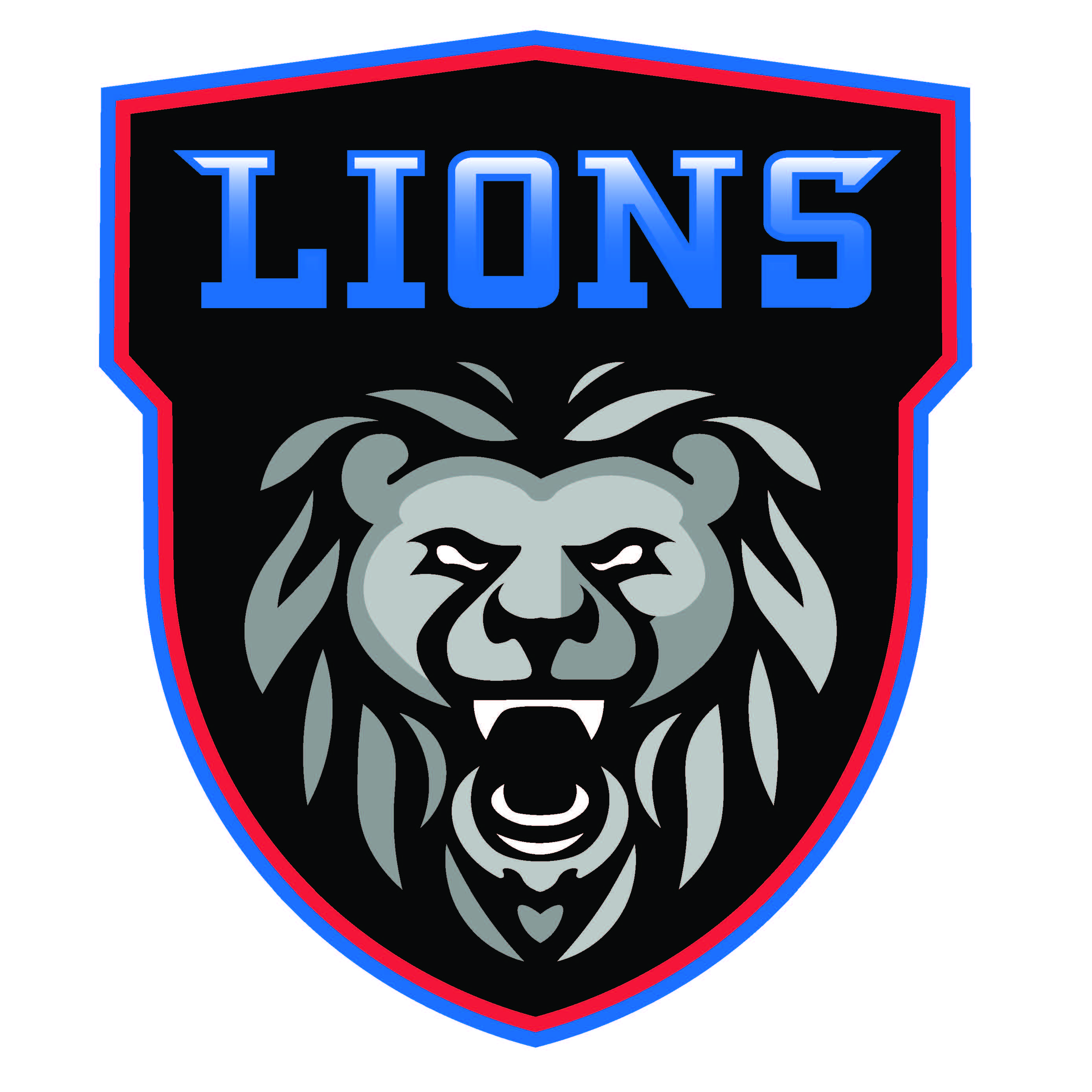 lions-inline-hockey-club-getting-started
