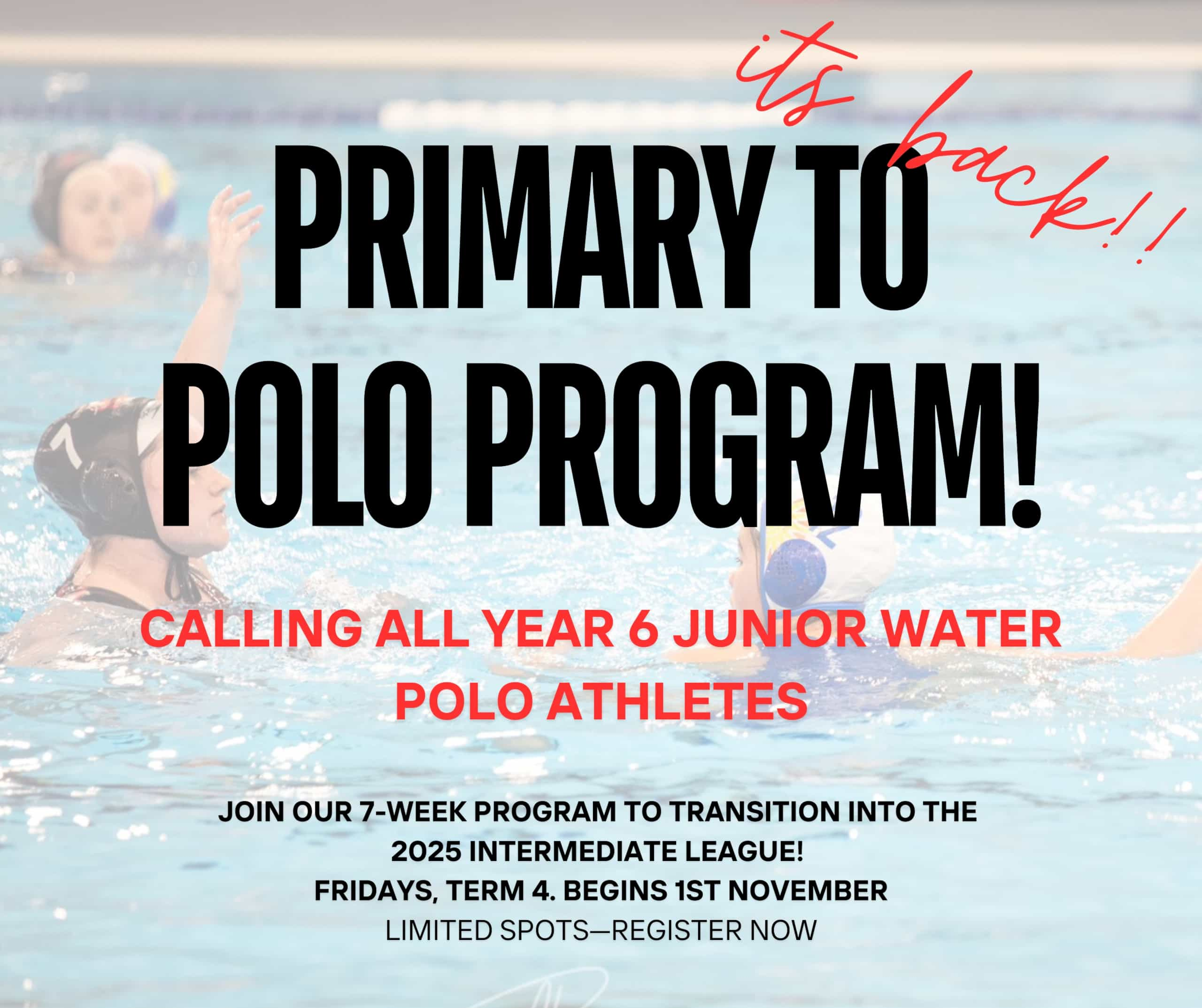 Primary to polo! - 1