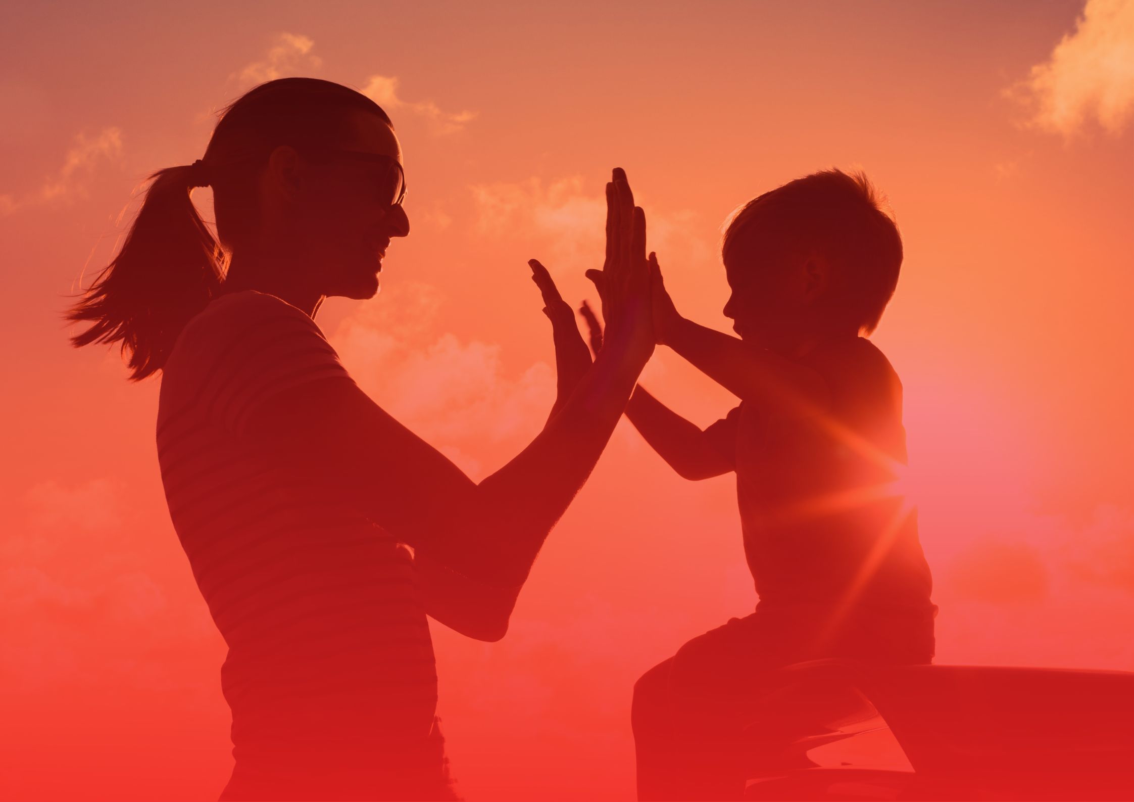 Supervised Comntact Website  - 1