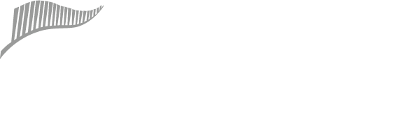 Blind Sport NZ - white clear background