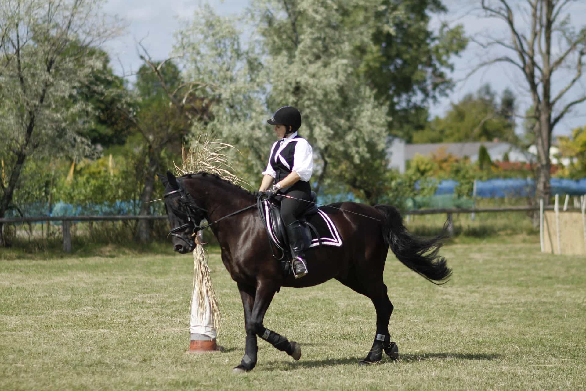 A person riding a black horse on an outdoor grass arena