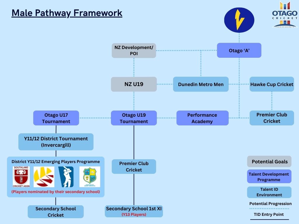 Simple Flowchart Infographic Graph - 2