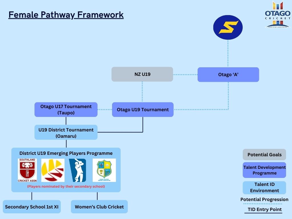 Simple Flowchart Infographic Graph - 3