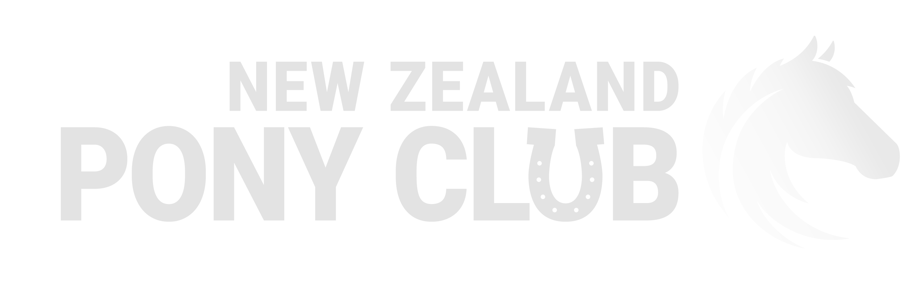 New Zealand Pony Club Eventing New Zealand Pony Club Eventing