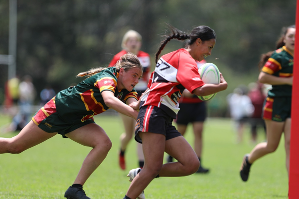 North Harbour Community 7's Draw Released