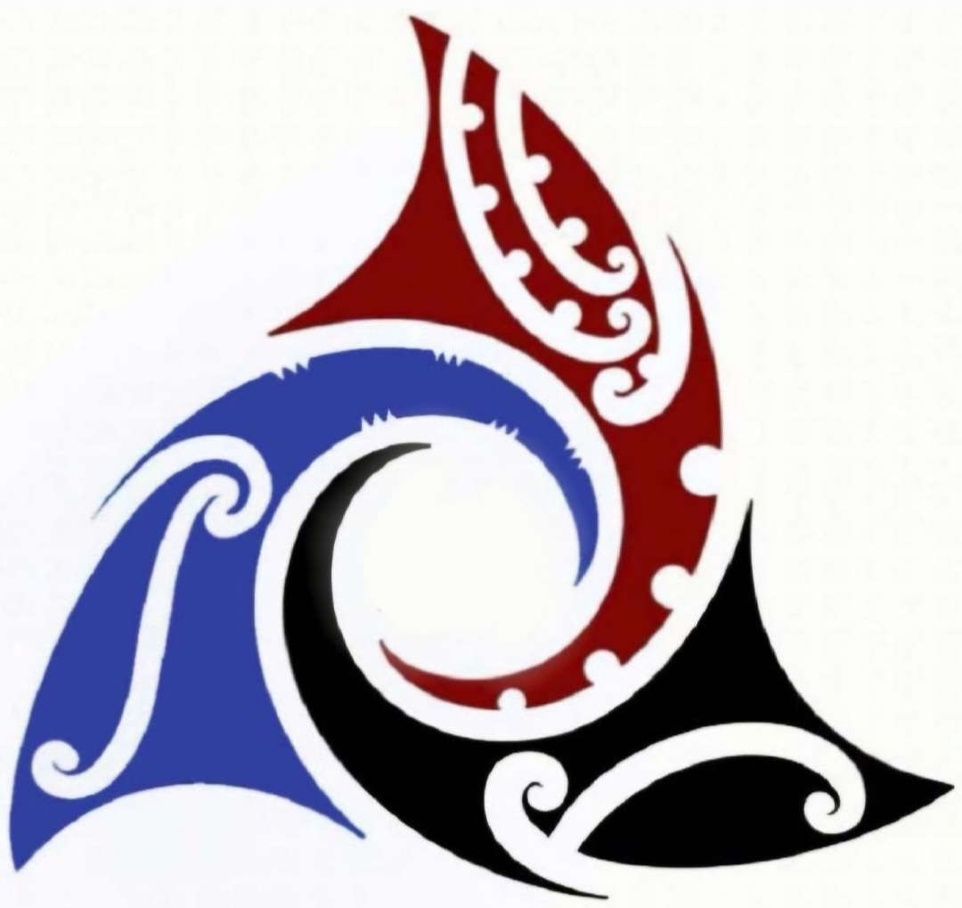 Waikohu Sports Club - Netball Registration