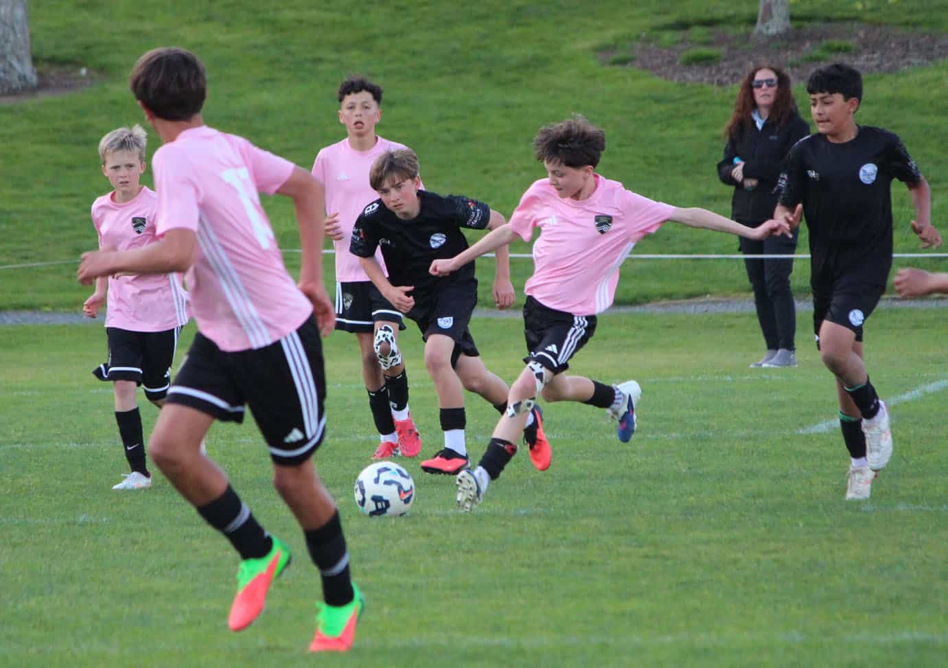 Six WaiBOP clubs delivering the Talent Development Programme (TDP) in 2027