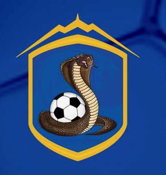 Te Aroha Cobras Junior AFC - Home