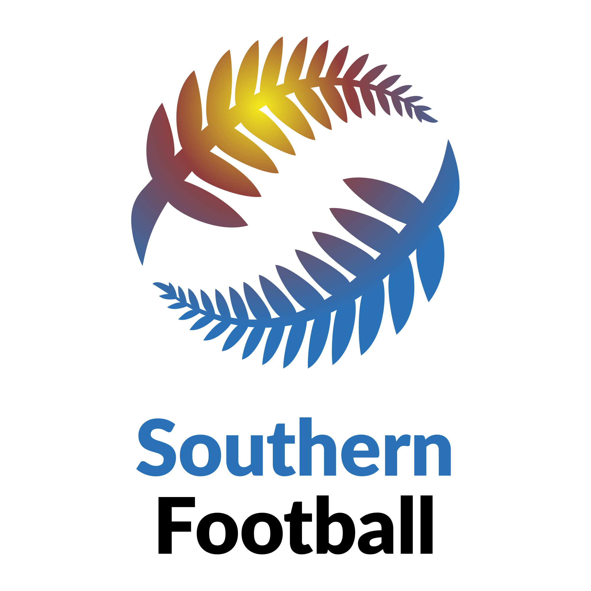 Southern Football School Holiday Programme southern-football-school-holiday-programme