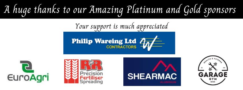 Sponsors Patinum and Gold - 1