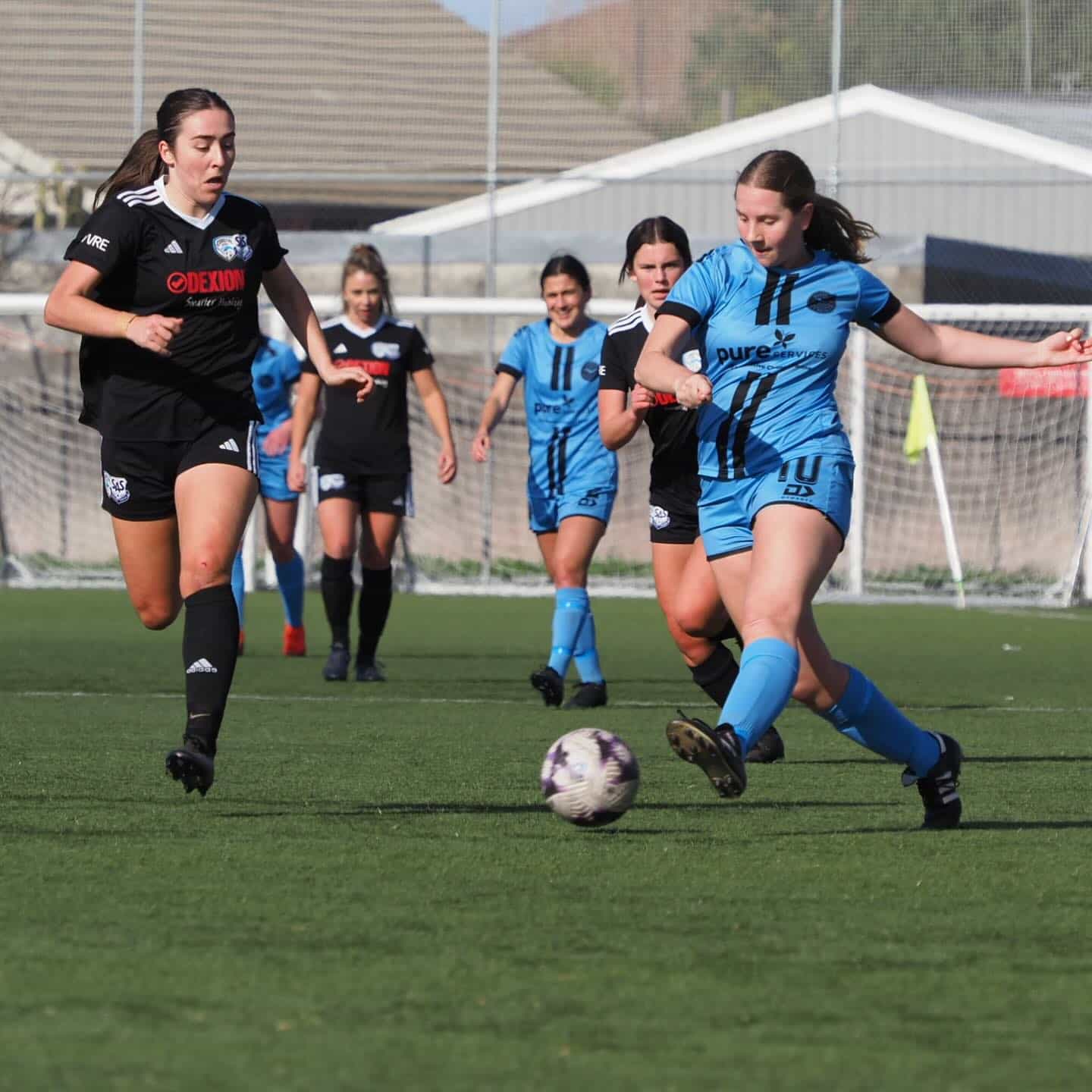 Weekend Review: Leaders on Form