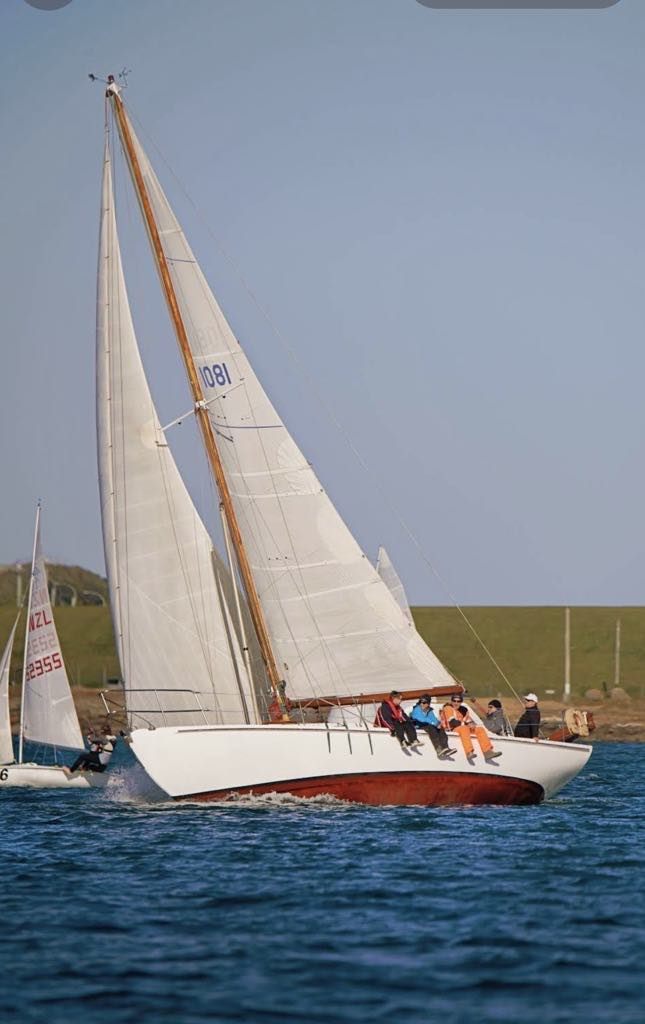 paper tiger yacht for sale
